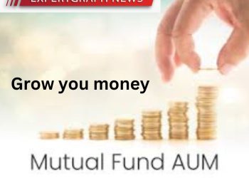 Maximize Your Gains in the Growing Equity Market though Mutual funds